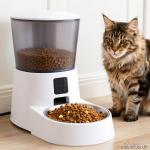 SureFeed Microchip Pet Feeder