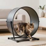 One Fast Cat Exercise Wheel