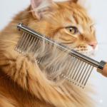 Professional Dematting Rake & Comb