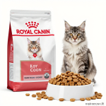 High-Protein Joint Support Kitten Food