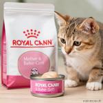 Royal Canin Mother & Babycat Ultra-Soft Mousse